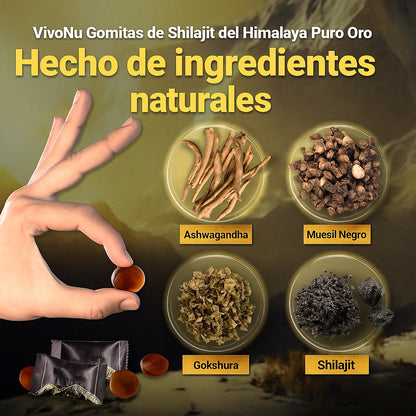 Himalayan™ Shilajit – Energía, Vitalidad y Potencia Natural